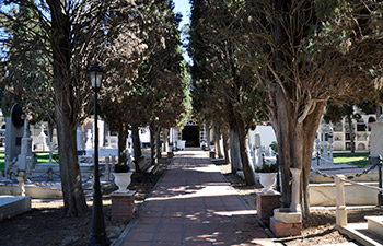 Pasillo Cipreses Cementerio San Juan Bautista Chiclana