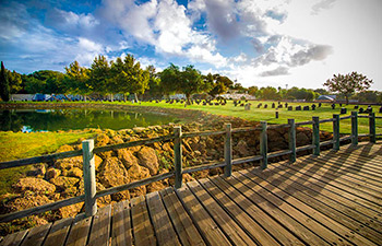 Pradera Cementerio Mancomunado Chiclana