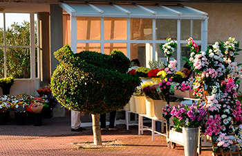 Floristería Cementerio Mancomunado Chiclana