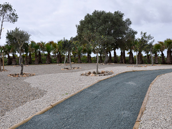 Inauguración del Bosque para el Recuerdo