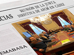 Reunión de la Junta Directiva de AFCM