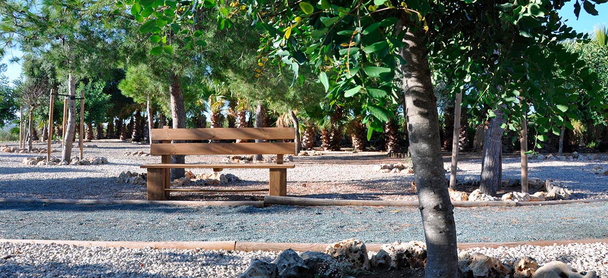 Bosque de los recuerdos