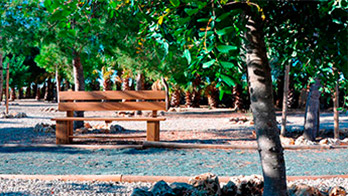 bosque-de-los-recuerdos.slider.1.title